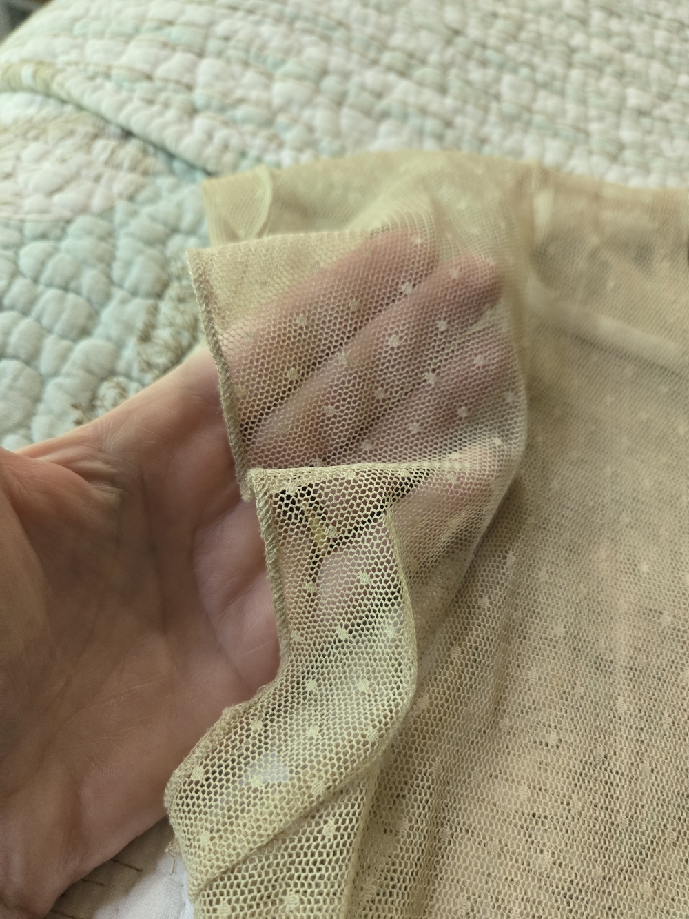 🍰 Sheer Taupe Lace-Trim Cap Sleeve Top M/L - Picture 8 of 11
